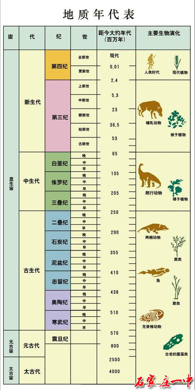 地质年代和生物发展的历史